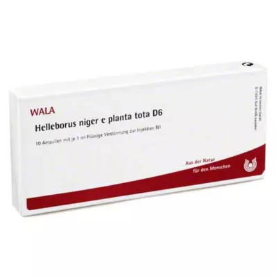HELLEBORUS NIGER e planta tota D 6 Ampuller, 10X1 ml