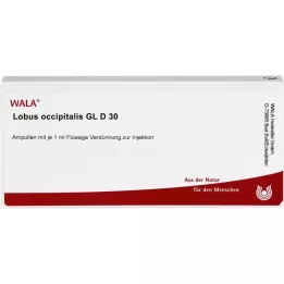 LOBUS occipitalis GL D 30 ampuller, 10X1 ml