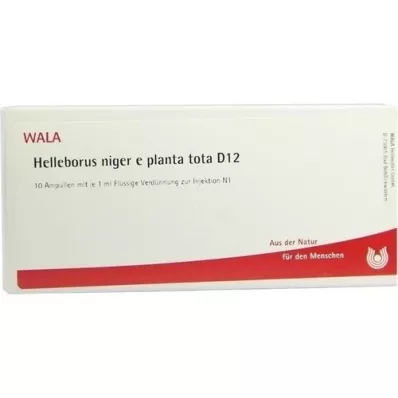 HELLEBORUS NIGER e planta tota D 12 Ampuller, 10X1 ml