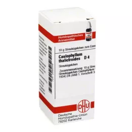 CAULOPHYLLUM THALICTROIDES D 4 kulor, 10 g