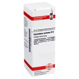 EQUISETUM ARVENSE D 6 Utspädning, 20 ml