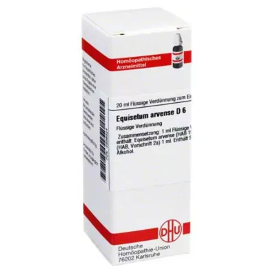 EQUISETUM ARVENSE D 6 Utspädning, 20 ml