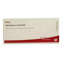 EQUISETUM EX Herba D 6 Ampuller, 10X1 ml