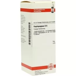 HAPLOPAPPUS D 6 Utspädning, 50 ml