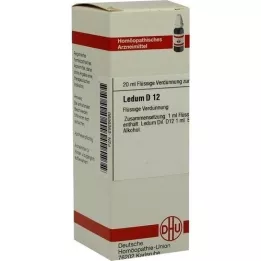 LEDUM D 12 Utspädning, 20 ml