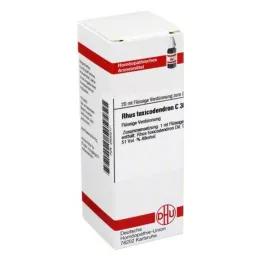 RHUS TOXICODENDRON C 30 utspädning, 20 ml