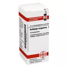 SOLIDAGO VIRGAUREA D 3 kulor, 10 g