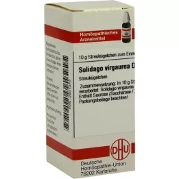 SOLIDAGO VIRGAUREA D 4 kulor, 10 g