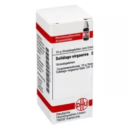 SOLIDAGO VIRGAUREA D 4 kulor, 10 g