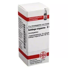 SOLIDAGO VIRGAUREA D 6 kulor, 10 g