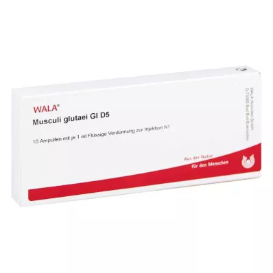 MUSCULI GLUTAEI GL D 5 ampuller, 10X1 ml MUSCULI GLUTAEI GL D 5 ampuller, 10X1 ml
