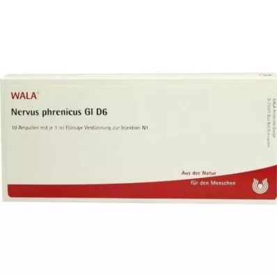 NERVUS PHRENICUS GL D 6 Ampuller, 10X1 ml