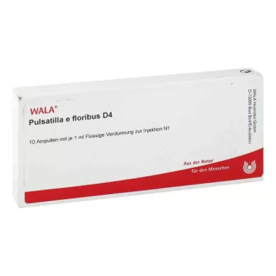 PULSATILLA E floribus D 4 Ampuller, 10X1 ml