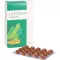 LECITHIN KAPSELN biolog.alsitan, 60 st