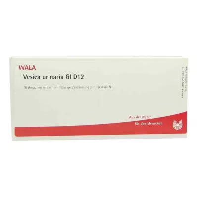 VESICA URINARIA GL D 12 Ampuller, 10X1 ml