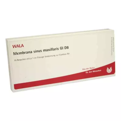 Membrana sinus maxillaris Gl D8 ampuller (10x1 ml)