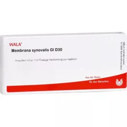 MEMBRANA synovialis GL D 30 ampuller, 10X1 ml