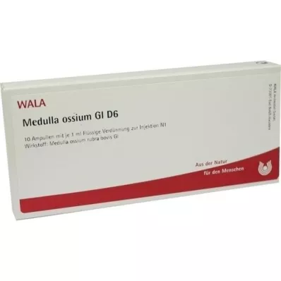 MEDULLA OSSIUM GL D 6 Ampuller, 10X1 ml