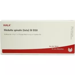 MEDULLA SPINALIS tota GL D 30 ampuller, 10X1 ml