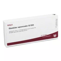 GLANDULAE SUPRARENALES GL D 30 Ampuller, 10X1 ml