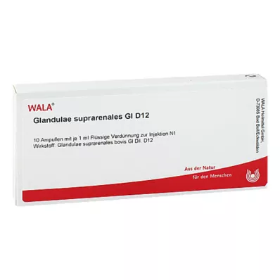 Glandulae suprarenalis GL D 12 ampuller, 10X1 ml Glandulae suprarenalis GL D 12 ampuller, 10X1 ml