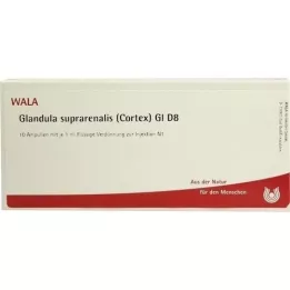 GLANDULA SUPRARENALIS cortex GL D 8 ampuller, 10X1 ml