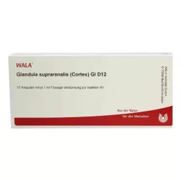 GLANDULA SUPRARENALES cortex GL D 12 ampuller, 10X1 ml