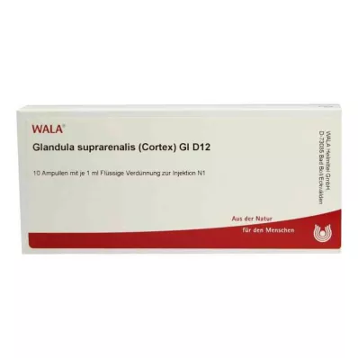Suprarenal körtel.Cort.Gl D12 ampuller (10x1 ml) Suprarenal körtel.Cort.Gl D12 ampuller (10x1 ml)