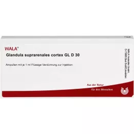GLANDULA SUPRARENALES cortex GL D 30 ampuller, 10X1 ml