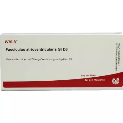 FASCICULUS atrioventricularis GL D 8 ampuller, 10X1 ml FASCICULUS atrioventricularis GL D 8 ampuller, 10X1 ml