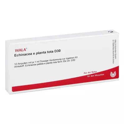 ECHINACEA E planta tota D 30 Ampuller, 10X1 ml ECHINACEA E planta tota D 30 Ampuller, 10X1 ml