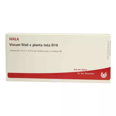 VISCUM MALI e planta tota D 10 ampuller, 10X1 ml VISCUM MALI e planta tota D 10 ampuller, 10X1 ml