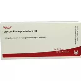 VISCUM PINI e planta tota D 8 Ampuller, 10X1 ml