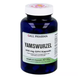 YAMSWURZEL 500 mg GPH Kapslar, 120 st