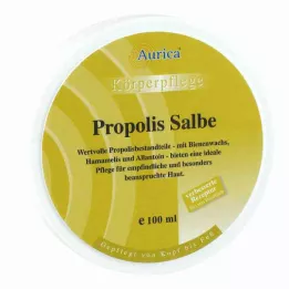 PROPOLIS SALVA, 100 ml
