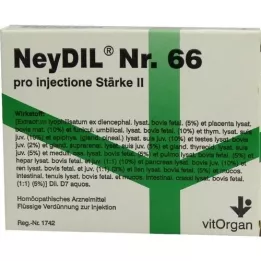 NEYDIL No.66 pro injectione St.2 Ampuller, 5X2 ml