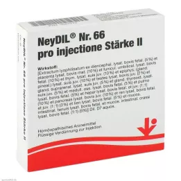 NEYDIL No.66 pro injectione St.2 Ampuller, 5X2 ml