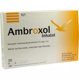 AMBROXOL Inhalera lösning för nebulisator, 20X2 ml