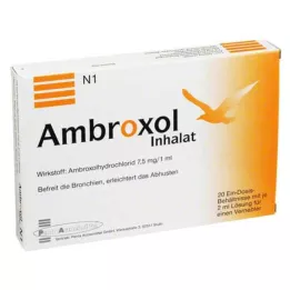 AMBROXOL Inhalera lösning för nebulisator, 20X2 ml
