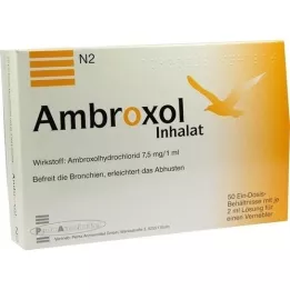AMBROXOL Inhalera lösning för nebulisator, 50X2 ml