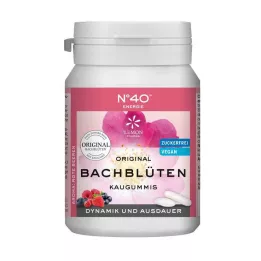 ENERGIE KAUGUMMI enligt Dr.Bach, 40 st