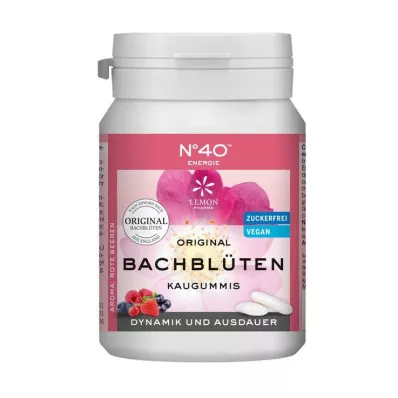 ENERGIE KAUGUMMI enligt Dr.Bach, 40 st ENERGIE KAUGUMMI enligt Dr.Bach, 40 st