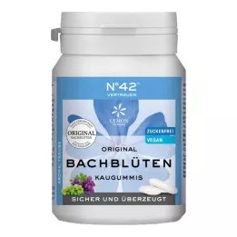 SELBSTVERTRAUEN Tuggummi enligt Dr.Bach, 40 st