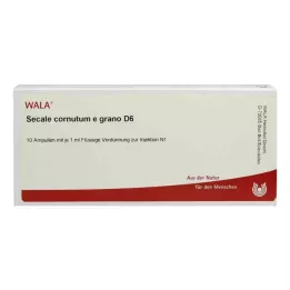 SECALE CORNUTUM E grano D 6 Ampuller, 10X1 ml