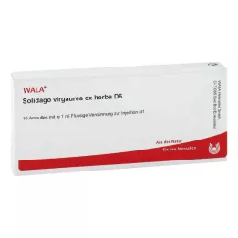 SOLIDAGO VIRGAUREA ex herba D 6 Ampuller, 10X1 ml
