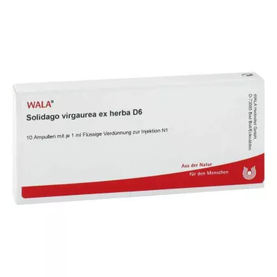 Solidago Virgaurea ex herba D6 ampuller (10x1 ml) Solidago Virgaurea ex herba D6 ampuller (10x1 ml)