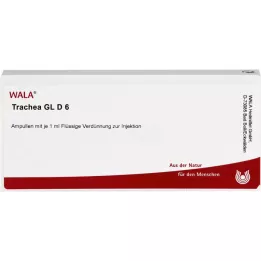 TRACHEA GL D 6 Ampuller, 10X1 ml