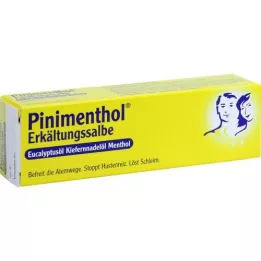 PINIMENTHOL Förkylningssalva Eucal./Pine./Menth., 20 g