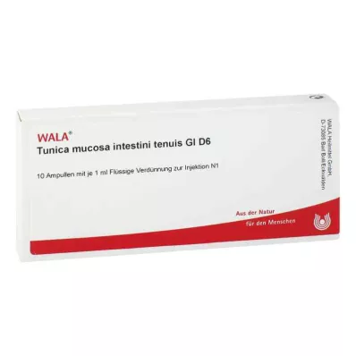 TUNICA mucosa intestini tenuis GL D 6 ampuller, 10X1 ml TUNICA mucosa intestini tenuis GL D 6 ampuller, 10X1 ml