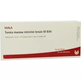 TUNICA mucosa intestini tenuis GL D 30 ampuller, 10X1 ml